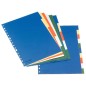 Esselte A4 Intercalaires Plastique 5 Onglets 5 Couleurs Carton Blanc Noir Index - Matière PP - Format A4 - Multi-trous - 5