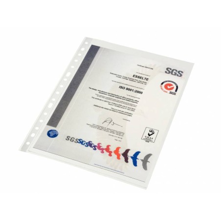 ✅ Esselte Lot de 10 porte-documents transparents couleur Transparent en stock