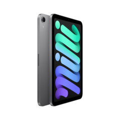 Apple iPad Mini - Écran 8,3 pouces - Puce A17 Pro - 256 Go - Wi-Fi - Gris sidéral