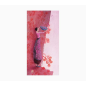 Pictura Carte Double Gaëlle Boissonnard - Finition Vernis épais gaufré UV - Stratifié Mat Soft Touch - 10,5x21cm - Papier Certif