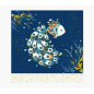 Carte Pictura Arabesque - 16x16 cm - Thème Poisson - Carte à trois volets non emballée - Enveloppe blanche incluse - Papier cert