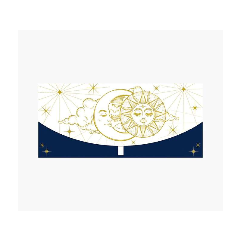 Cartes d'argent Pictura - Format horizontal - Thème Astros - 21,3 x 9,6 cm - Emballées individuellement - Avec enveloppe blanche