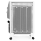 Orbegozo RMN 1575 Radiateur Mica - Puissant et Sûr - Chaleur Instantanée en 1 Minute - Réglage de la Puissance et Thermostat - S