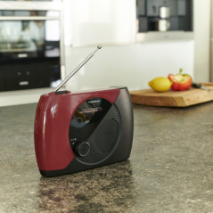 Radio FM portable Thomson RT353 - Couleur Ganate/Noir