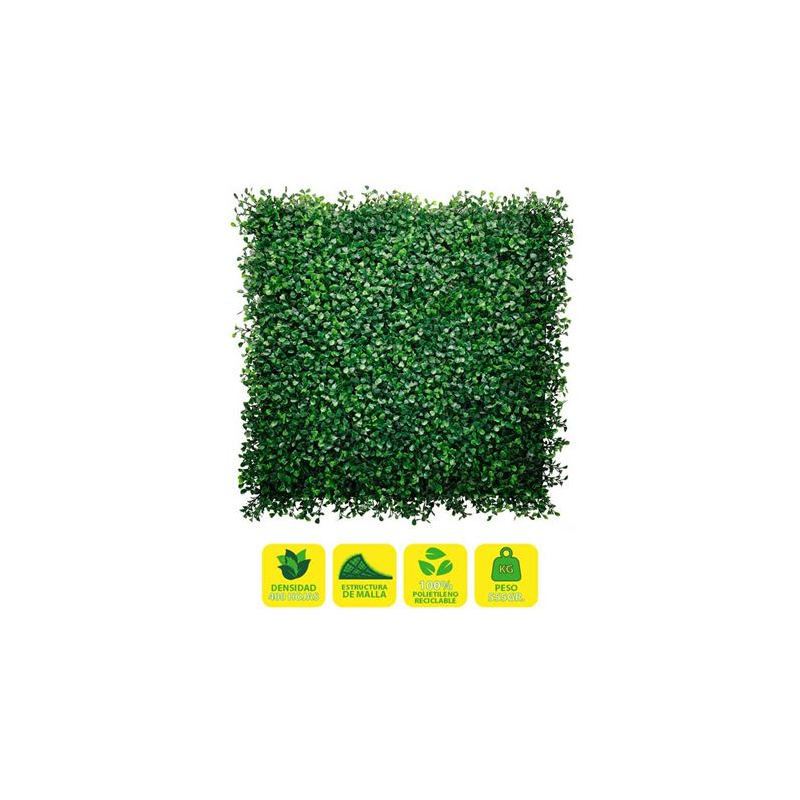 Jardin vertical Sungarden Série Floraria 50x50cm - Couleur verte