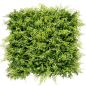 Série de jardin de jardin vertical Sungarden 50x50cm - Couleur verte