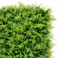 Série de jardin de jardin vertical Sungarden 50x50cm - Couleur verte