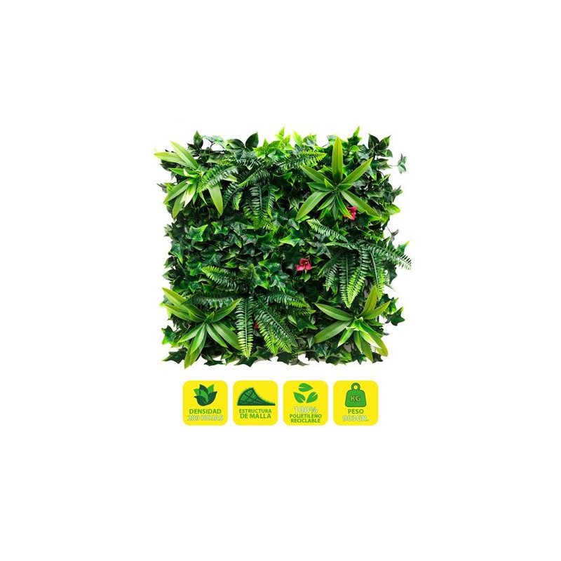 Jardin vertical Sungarden Série Verdeval 50x50cm - Couleur Vert