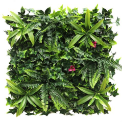 Jardin vertical Sungarden Série Verdeval 50x50cm - Couleur Vert
