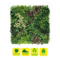 Jardin vertical Sungarden Série Jardinova 100x100cm - Couleur verte