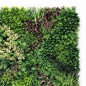Jardin vertical Sungarden Série Jardinova 100x100cm - Couleur verte