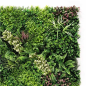 Jardin vertical Sungarden Série Floron 100x100cm - Couleur verte