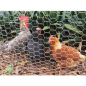 Sungarden Hexagonal Poulailler Maille 25x0.8mm 1x50m - Couleur Grise