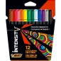 Lot de 12 feutres Bic Intensity