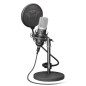 Trust Gaming GXT 252 Emita Microphone Cardioïde USB - Pied Métal - Câble 1.80m - Couleur Noir