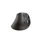 Trust Voxx Souris Sans Fil Rechargeable