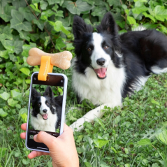 Pince à selfie pour animaux Innovagoods - Silicone souple - Adhérence ferme - Légère et compacte - Facile à nettoyer - 1,9 x 5 x