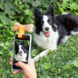 Pince à selfie pour animaux Innovagoods - Silicone souple - Adhérence ferme - Légère et compacte - Facile à nettoyer - 1,9 x 5 x