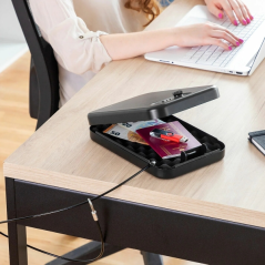 Coffre-fort portable Innovagoods Priseven - Câble en acier - Accessoires inclus - Multifonctionnel - Serrure à combinaison - 24,