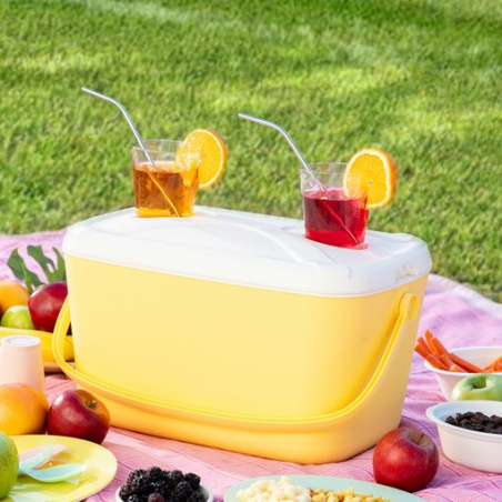 Glacière rigide portable Innovagoods Lilty - Capacité 15 L - Poignée de transport - Plateau de couvercle - Style rétro - Facile