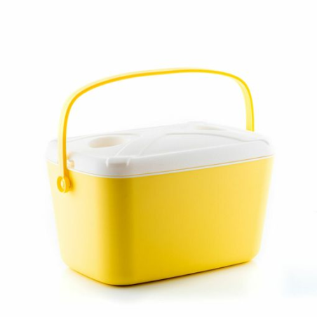 Glacière rigide portable Innovagoods Lilty - Capacité 15 L - Poignée de transport - Plateau de couvercle - Style rétro - Facile