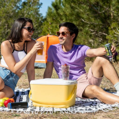 Glacière rigide portable Innovagoods Lilty - Capacité 15 L - Poignée de transport - Plateau de couvercle - Style rétro - Facile