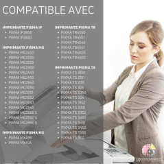 Pack compatible avec CANON PG-545 XL/CL-546 XL cartouches XL noir et c