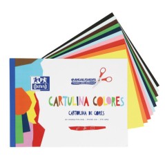 ✅ Oxford Lot de 10 Blocs Cartes Colorées A4+ couleur Plusieurs couleurs en stock