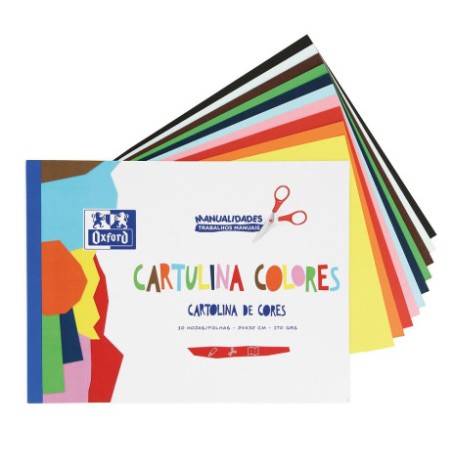 ✅ Oxford Lot de 10 Blocs Cartes Colorées A4+ couleur Plusieurs couleurs en stock