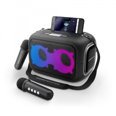 enceinte karaoké noire deux micros