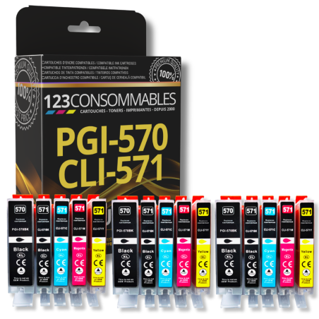 Pack 123 CONSOMMABLES compatible CANON PGI-570 XL/CLI-571 XL, 15 cartouches XL