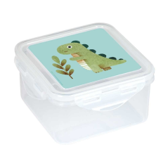 boîte à lunch transparente dinosaures