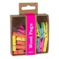 Apli Fluor 15 Pinces Bois Fluorescents