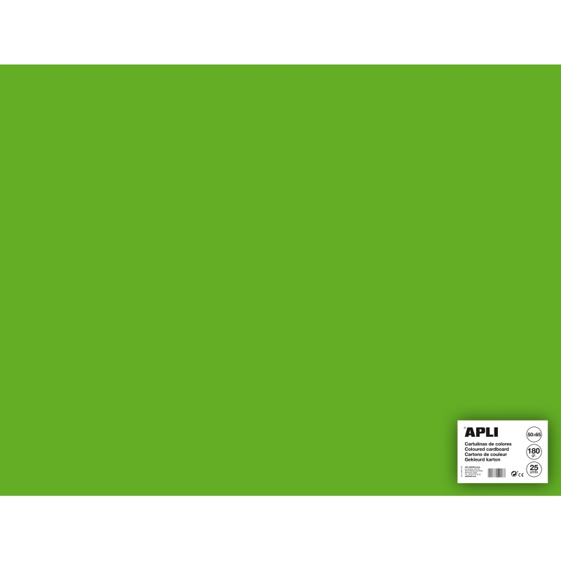 Apli Herbe Vert Carton 50 x 65cm 170g 25 Feuilles