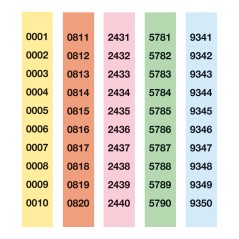 ✅ Apli Rifa Strip Lluminetas 0000-4999 - 980/5 - Numérotation claire et visible - Facile à couper - Brillant c en stock