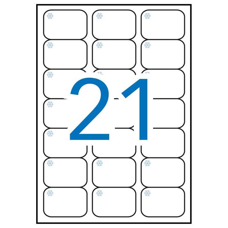 Apli White Labels Spécial Congélateur 63,5 x 38,1 mm 10 Feuilles