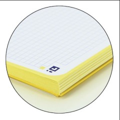 Cahier Oxford A4+ 5x5mm 80f Jaune