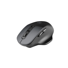 souris sans fil noire ergonomique