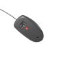 Natec Ruff 2 Souris optique filaire 1000 dpi noir Natec Ruff 2 Souris optique filaire 1000 dpi noir