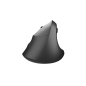 Souris verticale sans fil gaucher Natec Crake 2 noir 2400 dpi