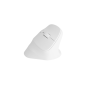 Souris verticale sans fil Natec Crake 2 blanc 2400 dpi Souris verticale sans fil Natec Crake 2 blanc 2400 dpi