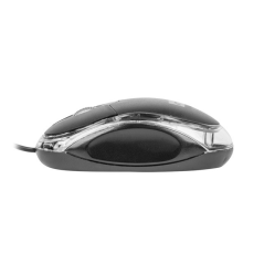 Souris optique USB Natec Vireo 2 1000 dpi noire