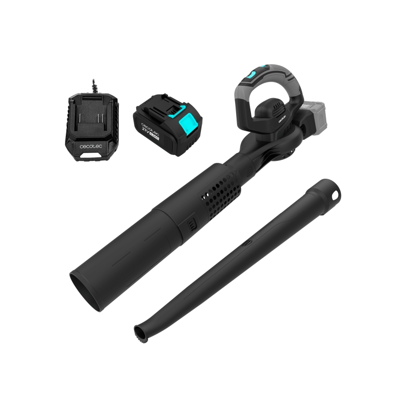 Souffleur de feuilles sans fil Cecotec AirForce 3000 W Noir