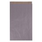 Enveloppes Apli Silver Kraft 24x43x7mm - Papier Kraft 50g/m² - Réutilisable et Recyclable - Paquet de 250 Enveloppes Apli Silver Kraft 24x43x7mm - Papier Kraft 50g/m² - Réutilisable et Recyclable - Paquet de 250