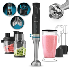 Mixeur plongeant noir argent 1500W