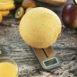 Balance de cuisine pliable Cecotec 5 kg acier