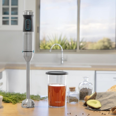 mixeur plongeant noir Cecotec