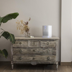 Purificateur d'air blanc Cecotec