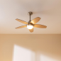 Ventilateur de plafond Cecotec Aero 495 LED 107 cm acier