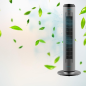 Ventilateur tour Cecotec EnergySilence 8190 Ionic gris Ventilateur tour Cecotec EnergySilence 8190 Ionic gris